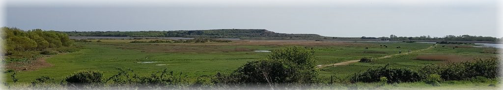 Panoramic view of Stanpit Marsh