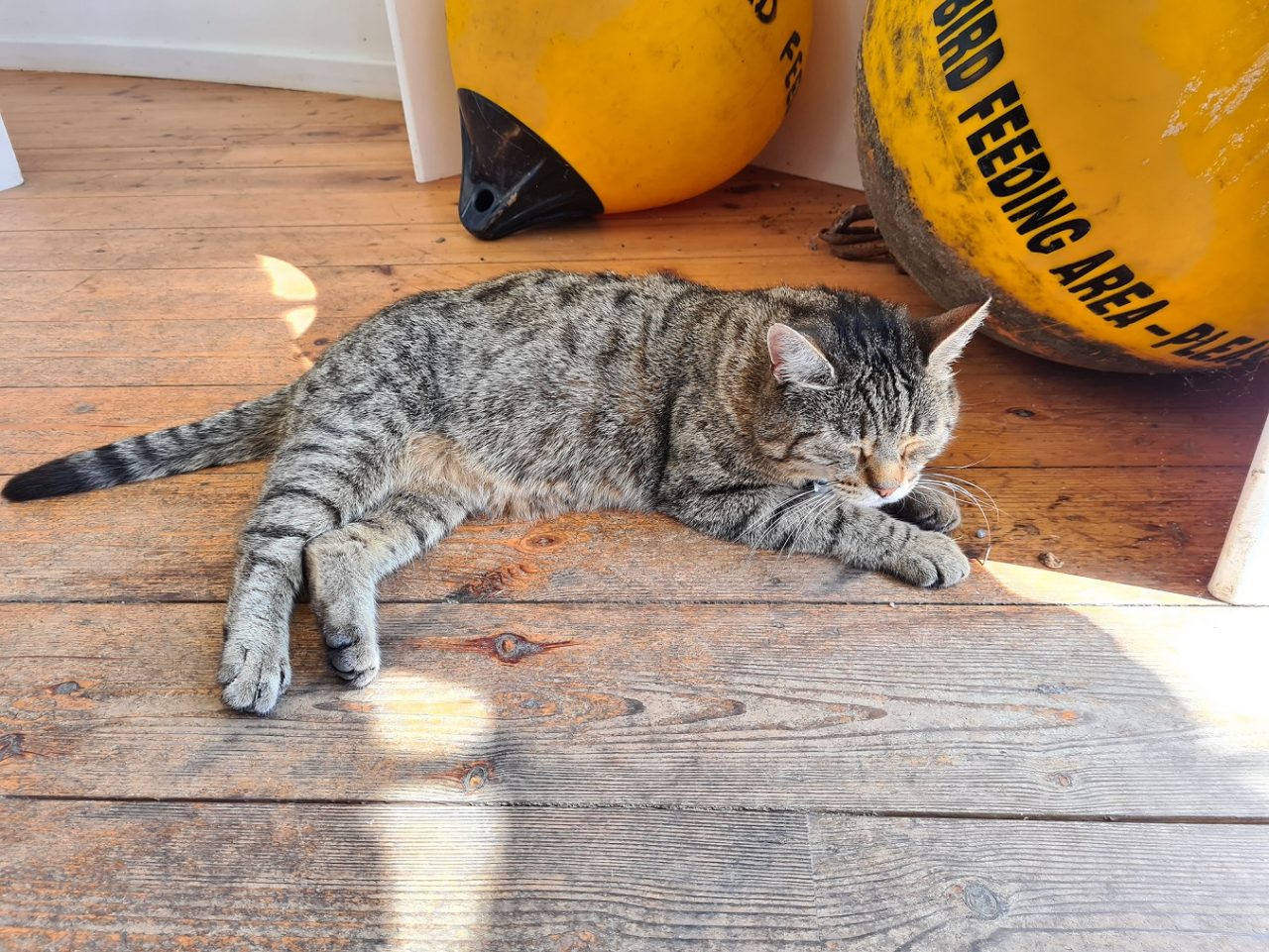 Charlie in the Visitor Centre