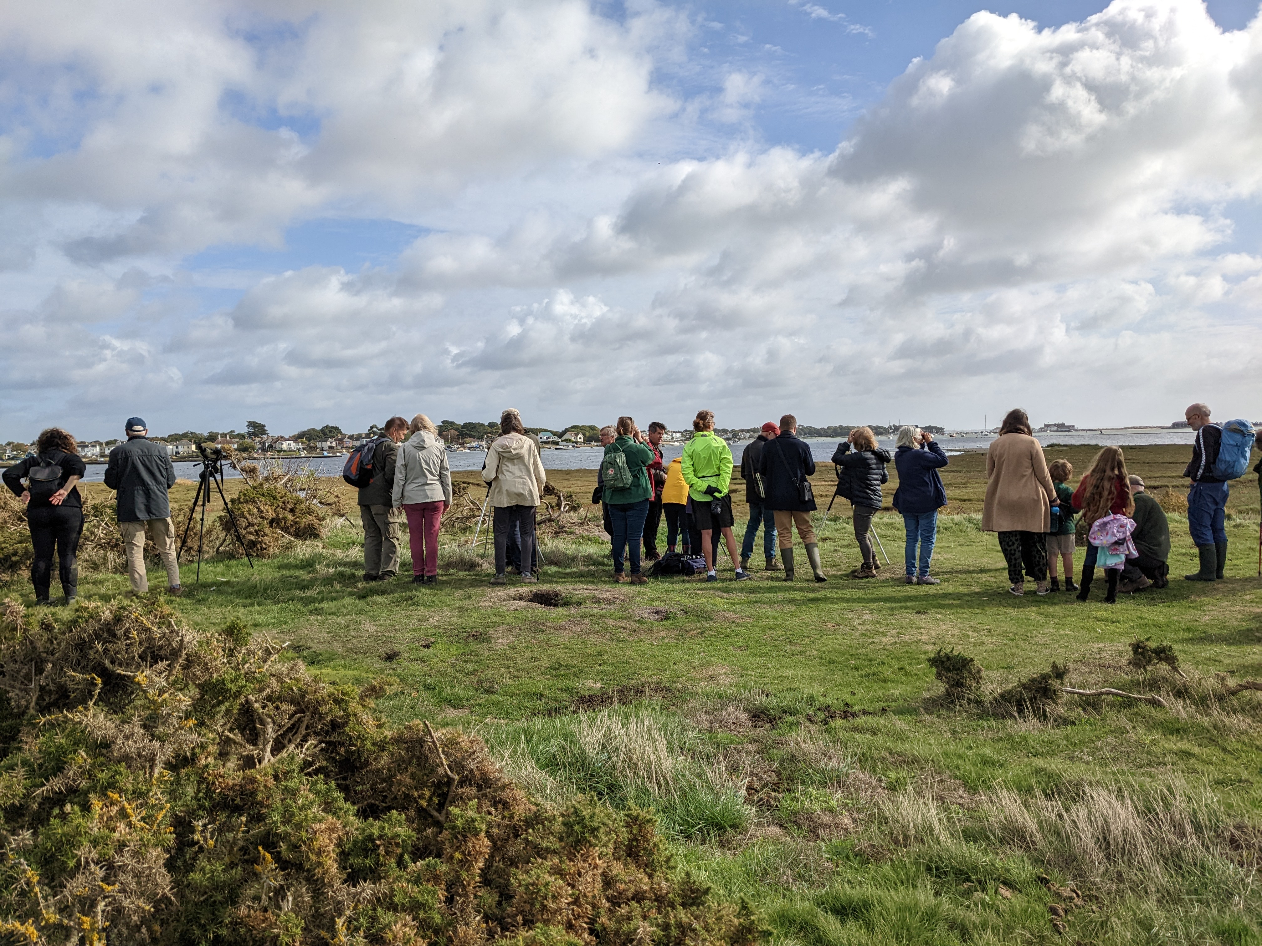 FOSM Bird Walk on the Marsh